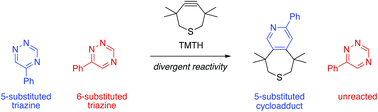 Graphical abstract: Isomeric triazines exhibit unique profiles of bioorthogonal reactivity