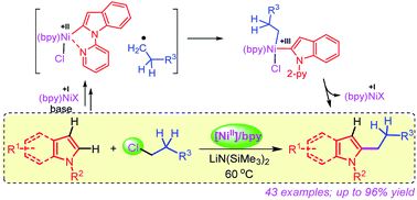 Graphical abstract: Nickel-catalyzed C–H alkylation of indoles with unactivated alkyl chlorides: evidence of a Ni(i)/Ni(iii) pathway