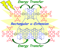 Graphical abstract: Exclusive occurrence of photoinduced energy transfer and switching of its direction by rectangular π-extension of nanographenes