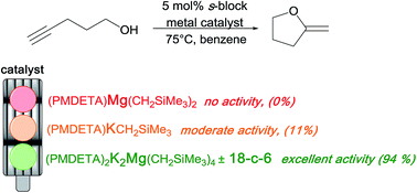 Graphical abstract: s-Block cooperative catalysis: alkali metal magnesiate-catalysed cyclisation of alkynols