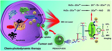 Graphical abstract: Mesoporous cerium oxide-coated upconversion nanoparticles for tumor-responsive chemo-photodynamic therapy and bioimaging