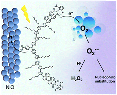Graphical abstract: Dye-sensitized photocathodes for oxygen reduction: efficient H2O2 production and aprotic redox reactions