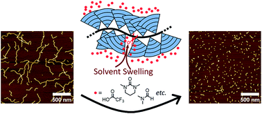 Graphical abstract: Main-chain scission of individual macromolecules induced by solvent swelling