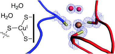 Graphical abstract: Structure of formylglycine-generating enzyme in complex with copper and a substrate reveals an acidic pocket for binding and activation of molecular oxygen