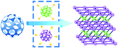 Graphical abstract: Solvent-assisted coordination driven assembly of a supramolecular architecture featuring two types of connectivity from discrete nanocages