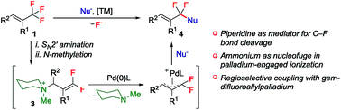 Graphical abstract: Selective single C–F bond arylation of trifluoromethylalkene derivatives
