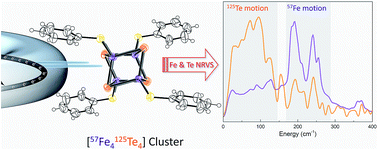 Graphical abstract: Insights from 125Te and 57Fe nuclear resonance vibrational spectroscopy: a [4Fe–4Te] cluster from two points of view