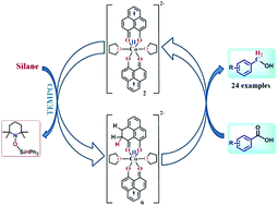 Graphical abstract: Storing redox equivalent in the phenalenyl backbone towards catalytic multi-electron reduction