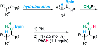 Graphical abstract: Catalytic protodeboronation of pinacol boronic esters: formal anti-Markovnikov hydromethylation of alkenes