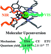 Graphical abstract: Deciphering and quantifying linear light upconversion in molecular erbium complexes