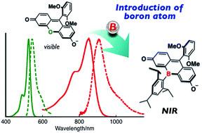 Graphical abstract: Near-infrared fluorescein dyes containing a tricoordinate boron atom