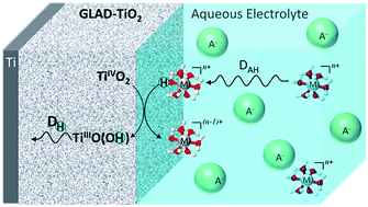 Graphical abstract: On the unsuspected role of multivalent metal ions on the charge storage of a metal oxide electrode in mild aqueous electrolytes