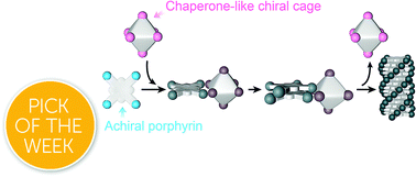 Graphical abstract: Chaperone-like chiral cages for catalyzing enantio-selective supramolecular polymerization