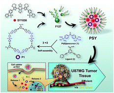 Graphical abstract: A nano-cocktail of an NIR-II emissive fluorophore and organoplatinum(ii) metallacycle for efficient cancer imaging and therapy