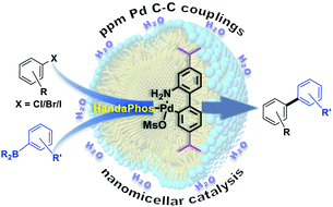Graphical abstract: A new, substituted palladacycle for ppm level Pd-catalyzed Suzuki–Miyaura cross couplings in water