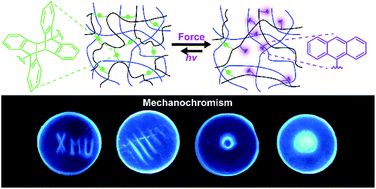 Graphical abstract: Mechanochromism and optical remodeling of multi-network elastomers containing anthracene dimers