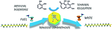 Graphical abstract: Fatty acid based transient nanostructures for temporal regulation of artificial peroxidase activity