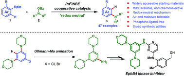 Graphical abstract: Redox-neutral ortho-C–H amination of pinacol arylborates via palladium(ii)/norbornene catalysis for aniline synthesis