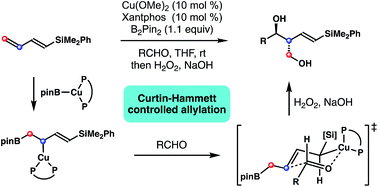 Graphical abstract: α-Silicon effect assisted Curtin–Hammett allylation using allylcopper reagents derived from 1,3-dienylsilanes