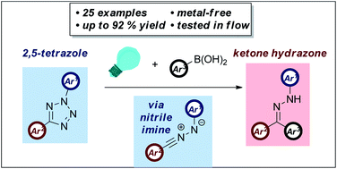 Graphical abstract: Metal-free C–C bond formation via coupling of nitrile imines and boronic acids