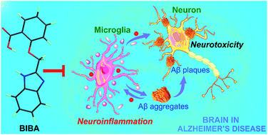 Graphical abstract: Alleviation of symptoms of Alzheimer's disease by diminishing Aβ neurotoxicity and neuroinflammation
