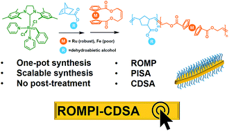 Graphical abstract: ROMPI-CDSA: ring-opening metathesis polymerization-induced crystallization-driven self-assembly of metallo-block copolymers