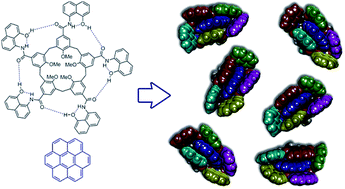 Graphical abstract: A flexible self-folding receptor for coronene
