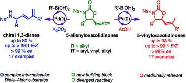 Graphical abstract: Divergent Pd-catalyzed cross-coupling of allenyloxazolidinones to give chiral 1,3-dienes and vinyloxazolidinones