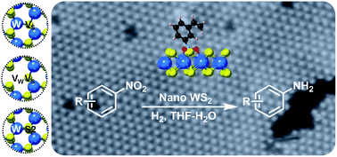 Graphical abstract: Defect-mediated selective hydrogenation of nitroarenes on nanostructured WS2