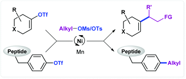 Graphical abstract: Ni-catalyzed cross-electrophile coupling between vinyl/aryl and alkyl sulfonates: synthesis of cycloalkenes and modification of peptides