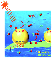 Graphical abstract: Plasmon-promoted electrocatalytic water splitting on metal–semiconductor nanocomposites: the interfacial charge transfer and the real catalytic sites