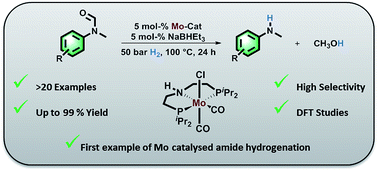 Graphical abstract: Highly selective hydrogenation of amides catalysed by a molybdenum pincer complex: scope and mechanism