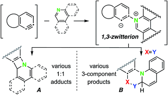 Graphical abstract: Reactions of thermally generated benzynes with six-membered N-heteroaromatics: pathway and product diversity