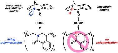 Graphical abstract: Resonance promoted ring-opening metathesis polymerization of twisted amides