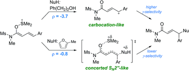 Graphical abstract: Synthesis of γ-substituted carbonyl compounds from DMSO-mediated oxidation of enynamides: mechanistic insights and carbon- and hetero-functionalizations