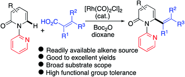 Graphical abstract: Rhodium(i)-catalyzed C6-selective C–H alkenylation and polyenylation of 2-pyridones with alkenyl and conjugated polyenyl carboxylic acids