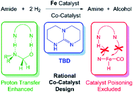 Graphical abstract: Rational selection of co-catalysts for the deaminative hydrogenation of amides