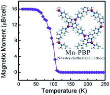 Graphical abstract: Two-dimensional magnetic metal–organic frameworks with the Shastry-Sutherland lattice