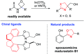 Graphical abstract: A mild catalytic synthesis of 2-oxazolines via oxetane ring-opening: rapid access to a diverse family of natural products