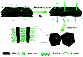 Graphical abstract: Near-infrared light-responsive hydrogels via peroxide-decorated MXene-initiated polymerization