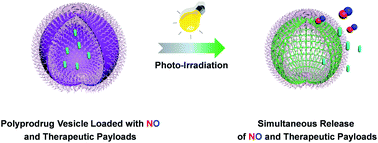 Graphical abstract: Light-triggered nitric oxide (NO) release from photoresponsive polymersomes for corneal wound healing