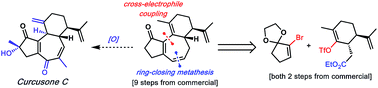 Graphical abstract: Enantioselective construction of the tricyclic core of curcusones A–D via a cross-electrophile coupling approach