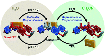 Graphical abstract: Thinking outside the “Blue Box”: from molecular to supramolecular pH-responsiveness