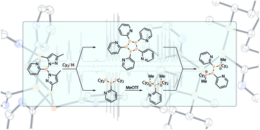 Graphical abstract: Controlled scrambling reactions to polyphosphanes via bond metathesis reactions