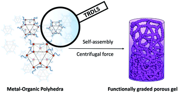 Graphical abstract: Understanding the multiscale self-assembly of metal–organic polyhedra towards functionally graded porous gels