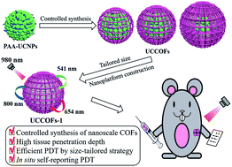 Graphical abstract: In vivo therapeutic response monitoring by a self-reporting upconverting covalent organic framework nanoplatform