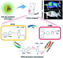 Graphical abstract: An aggregation-induced emission dye-powered afterglow luminogen for tumor imaging