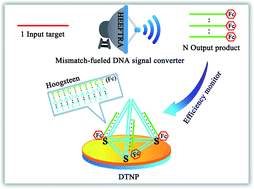 Graphical abstract: Programmable mismatch-fueled high-efficiency DNA signal converter