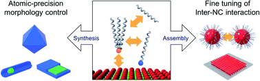 Graphical abstract: Ligands as a universal molecular toolkit in synthesis and assembly of semiconductor nanocrystals
