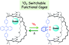 Graphical abstract: Singlet oxygen stimulus for switchable functional organic cages